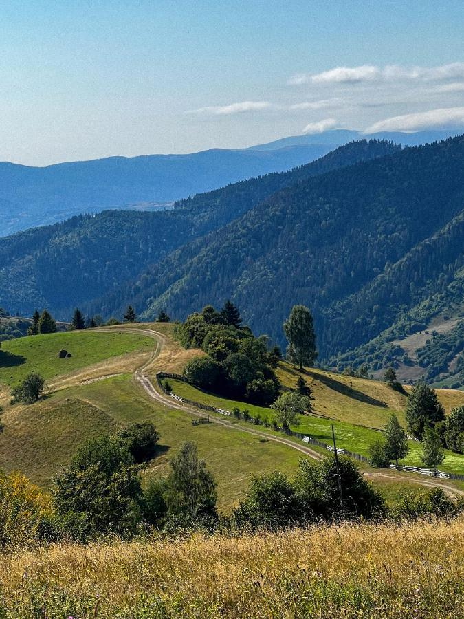 Садиба Between Mountains Mizhhirya  Ngoại thất bức ảnh