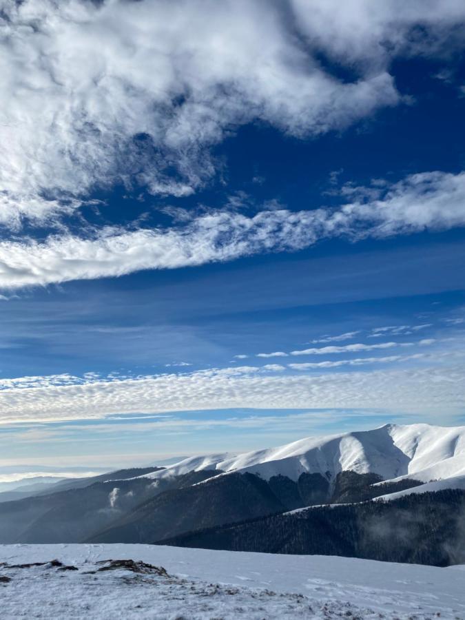 Садиба Between Mountains Mizhhirya  Ngoại thất bức ảnh