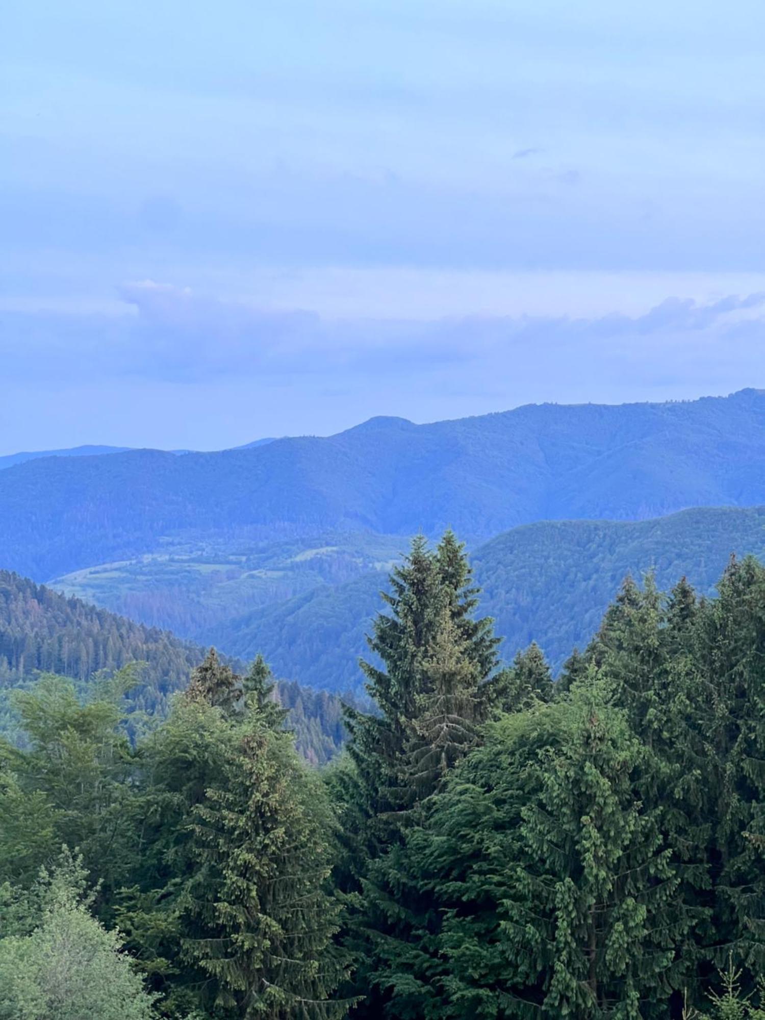 Садиба Between Mountains Mizhhirya  Ngoại thất bức ảnh