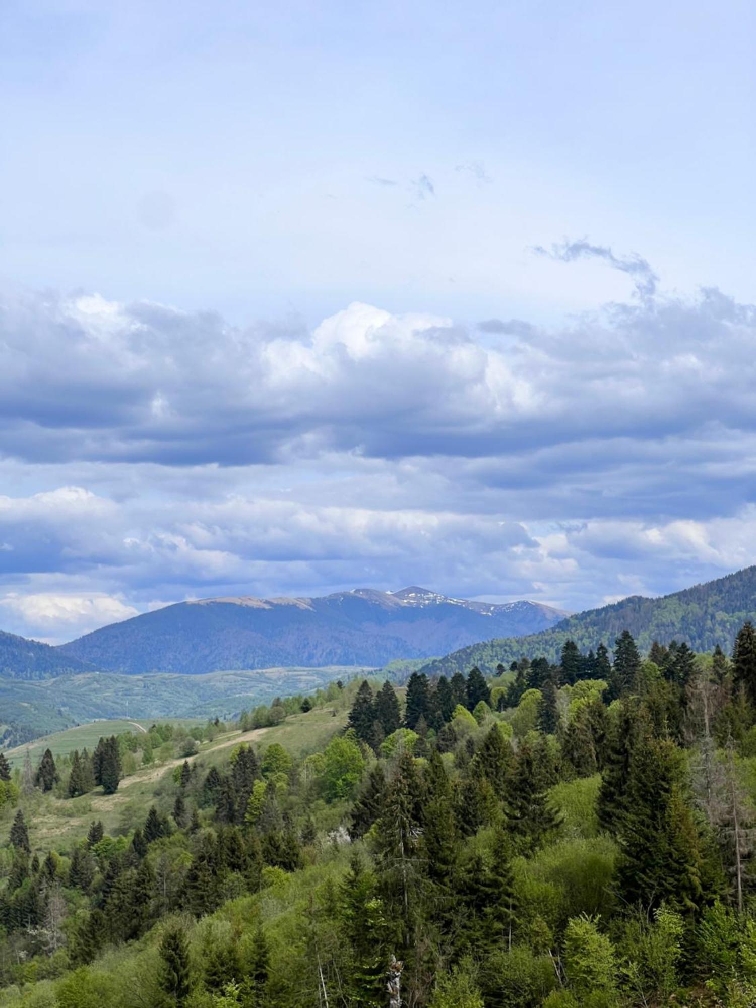 Садиба Between Mountains Mizhhirya  Ngoại thất bức ảnh